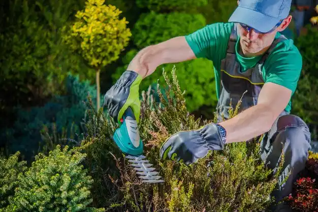 landscaping services Cygnet